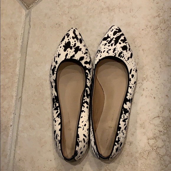 Mercanti Fiorentini Shoes - Mercantile Florentine animal print flats